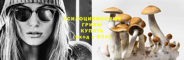 экстази Дмитровск