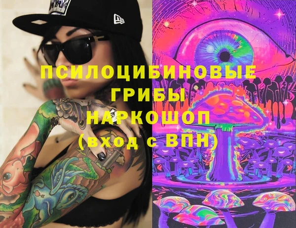 PSILOCYBIN Дмитров