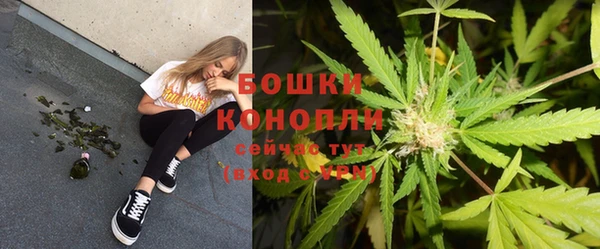 PSILOCYBIN Дмитров