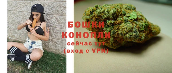PSILOCYBIN Дмитров