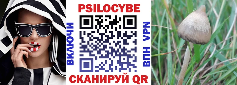 купить   Вуктыл  Псилоцибиновые грибы Cubensis 